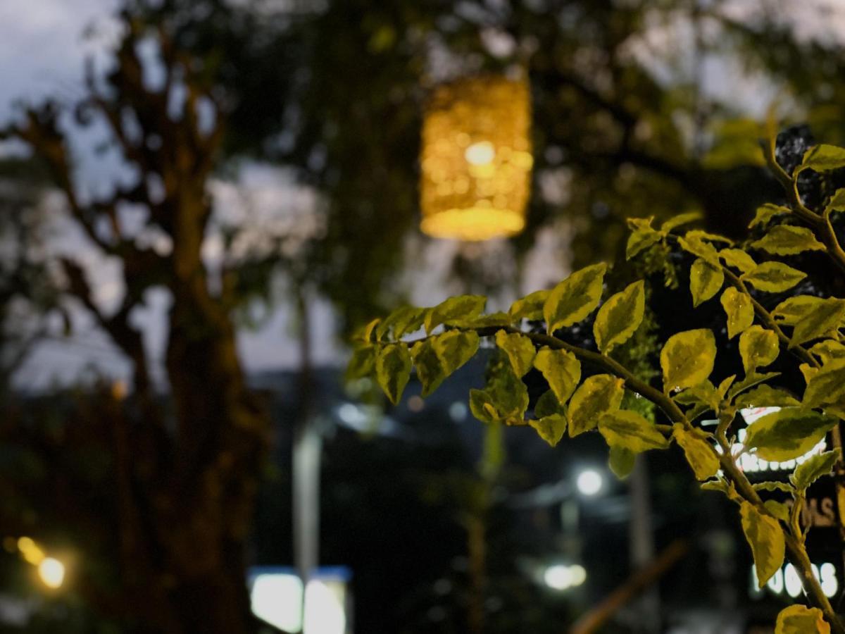 Mad Monkey Hostel And Lounge เอลลา ภายนอก รูปภาพ